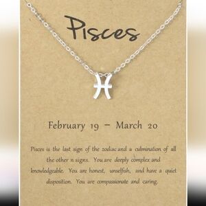 Silver Zodiac Necklace